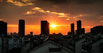 八一路租房，探索城市心脏的居住选择