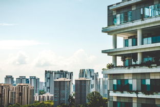 洮南租房市场分析及租房攻略